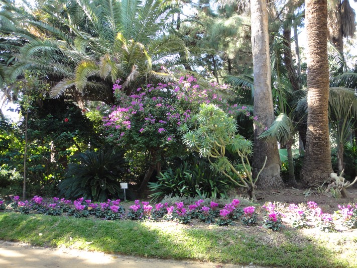 Genovesa Park, Cadiz
